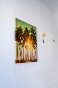 DSC05570